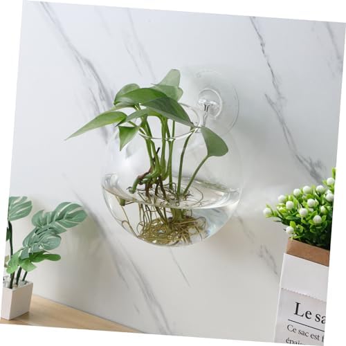 Sosoport 4pcs Wall Planters for Indoor Plants Glass Globe Propagation Station with Rounded Hydroponic Vases Water Plants Holder Decorative Terrarium for Home Office Living Room Decor - Image 7
