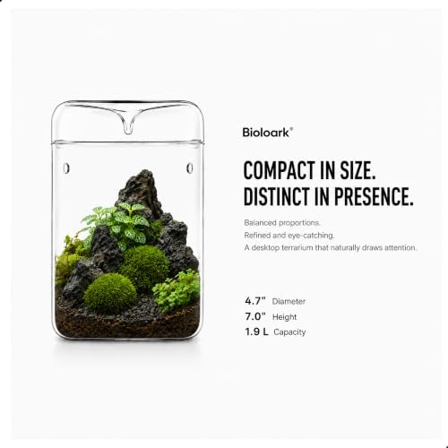 Bioloark Glass Plant Terrarium MY-120H, 4.7" x 7" Small Desktop Moss Terrarium with Dew-Collecting Lid, Ventilation Holes, High-Clarity Glass Jar for Ferns, Small Plants & Office Décor - Image 3