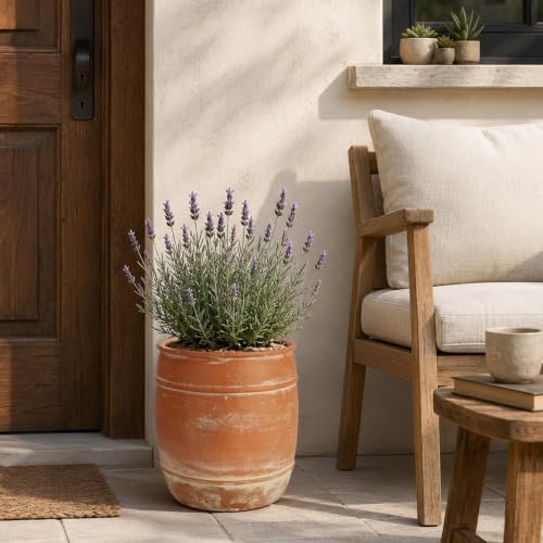 11"H x 9.5" Dia Aged Terracotta Clay Planter Pot with Drainage Hole, Rustic Farmhouse Style Flower Pot with Distressed Finish, Vintage Decorative Planter for Indoor Outdoor Garden, Patio, Porch - Image 4