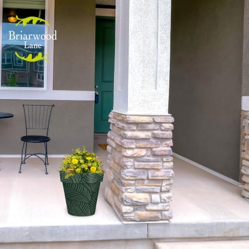 Briarwood Lane Everyday Planter 11.75 x 11 x 11 Tropical Leaves Medium - Image 4