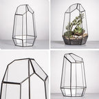 NCYP No Door Geometric Glass Terrarium Planter for Small Succulent, Small Cacti, Black Irregular Opened Terrarium Pot, Indoor Home Garden Office Tabletop Decor, 6.5" x 5.7" x 9.8" (No Plants) - Image 5
