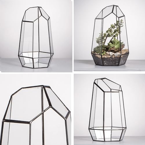 NCYP No Door Geometric Glass Terrarium Planter for Small Succulent, Small Cacti, Black Irregular Opened Terrarium Pot, Indoor Home Garden Office Tabletop Decor, 6.5" x 5.7" x 9.8" (No Plants) - Image 5