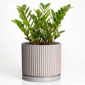 10 Inch Planter, Ceramic Plant Pots, Round Pots for Plants, Grey by Unknown