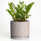 10 Inch Planter, Ceramic Plant Pots, Round Pots for Plants, Grey by Unknown