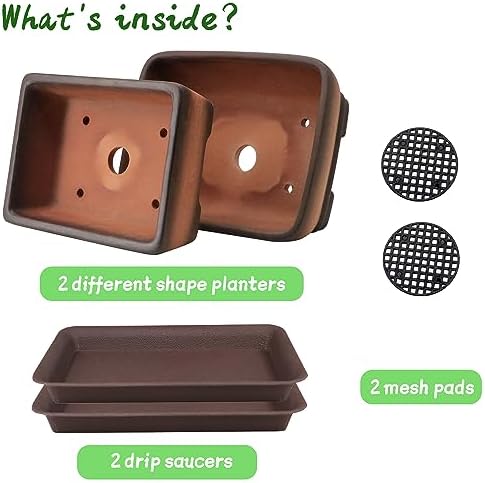 MUZHI Decorative Ceramic Bonsai Planter Pot 8.5 Inch with Tray, Breathable Unglazed Rectangle Terracotta Clay Pot for Tree Succulent Cactus Indoor Outdoor Red Brown (2Pcs Rectangle 6") - Image 4
