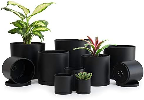 D'vine Dev 10-Pack Plastic Pots with Saucers, 2-6.5 in, Black, 74-S-B by DvineDevPlanterPotsandStand