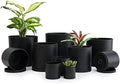 D'vine Dev 10-Pack Plastic Pots with Saucers, 2-6.5 in, Black, 74-S-B by DvineDevPlanterPotsandStand