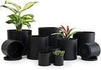 D'vine Dev 10-Pack Plastic Pots with Saucers, 2-6.5 in, Black, 74-S-B by DvineDevPlanterPotsandStand
