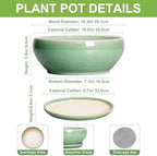 SQOWL Bonsai Pots - 10 Inch Ceramic Succulent Pots with Drainage Hole and Saucer, Shallow Planter for Indoor Plants Flowers, Round Planter Bowl, Living Room Decor, Plant Lover Gifts, Green - Image 2