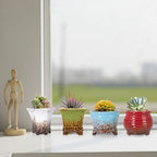 ARTKETTY Succulent Pots, Small Plant Pots with Drainage Set of 6 - Image 4