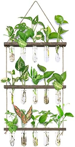 XXXFLOWER Wall Hanging Propagation Station with 5 Glass Test Tubes 3 Tiers+Wall Hanging Glass Terrariums,Heart-Shaped Set of 4 - Image 2