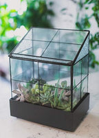 H Potter Glass Terrarium Wardian Case | Succulent Planter | Display Case - Image 7