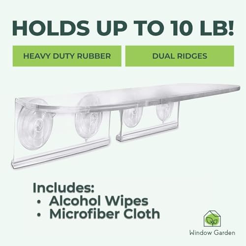 Window Garden Double Veg Ledge - Window Shelf for Plants, Clear Acrylic Shelves - Suction Cup Indoor Plant Holder - Glass Window Sill Extender for Microgreens Kit, Seed Starter Pots, Planters (2 Pack) - Image 3