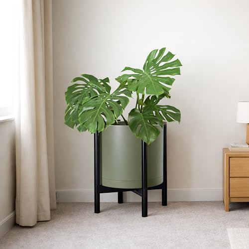 D'vine Dev Plastic Pot with Ebony Wood Stand, Olive, 16 in, 55-C-Z-3 - Image 6