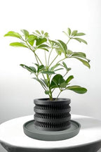 Yukfona Ceramic Plant Saucer Tray 1 Pcs 10 Inch Grey, 10.83" OD x10.24 ID x1.1 Deep| Fits Flower pots Bottom≤ 10.24", Heavy Duty Glazed Round Planter Drip with Catch Basin for Indoor Outdoor Plants - Image 5