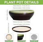 SQOWL Succulent Planters 10 Inch, Ceramic Bonsai Pots, Green-Brown - Image 2