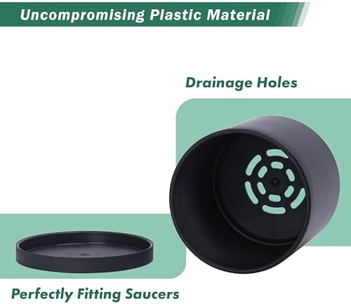 D'vine Dev 12-Pack Black Plastic Planters with Saucers, 3.5 in, 74-Y-D-4 - Image 4