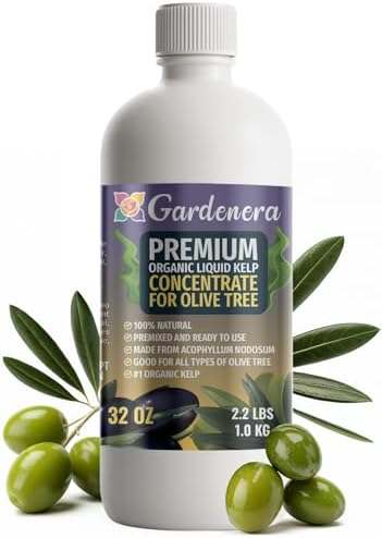 GARDENERA Premium Organic Seaweed & Kelp Superfood for Olive Tree Plants - 32 oz - Liquid Kelp Fertilizer Concentrate (Makes 180 Gallons) by Gardenera