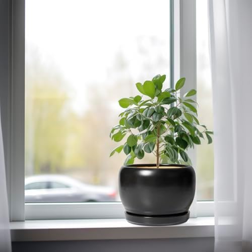 SQOWL Ceramic Plant Pots - 8 Inch Planter Indoor, Round Flower Pot with Drainage Hole and Saucer, Modern Outdoor Planter, Apartment Decor, Gifts for Plant Lovers, Black - Image 4