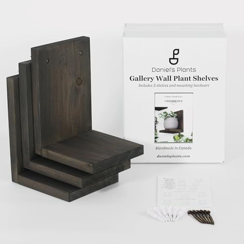 Daniel's Plants 3-Pack Mid-Century Modern L-Shaped Floating Shelves | Solid Wood Plant Wall Shelf Kit | Dusk Grey - Image 4