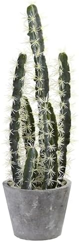 Nearly Natural Decorative Cactus Garden with Cement Planter by NearlyNatural