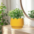 G EPGardening Ceramic Pots for Plants, 7 Inch Plant Pot, Yellow - Image 6