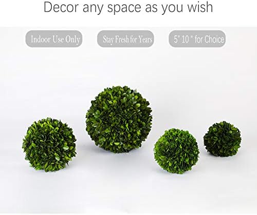 Real Boxwood Decorative Ball Large 10 inches Great for Wedding Home Decoration, Vase Bowl Filler Realistic Full Green Plant, Indoor Decor(Boxwood) - Image 2