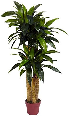 Nearly Natural 4 ft Artificial Corn Stalk Dracaena Real-Touch Floor Plant by NearlyNatural