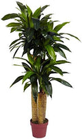 Nearly Natural 4 ft Artificial Corn Stalk Dracaena Real-Touch Floor Plant by NearlyNatural