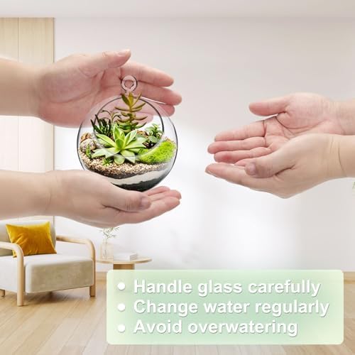M METERXITY 1-Pack Clear Glass Air Plant Terrarium, 2.8 Inch Angled with Handle Plant Display Glass for Windowsill/Outdoor Garden/Home Decor, Flat Bottom Globe Bowl Terrarium [Transparent] - Image 4