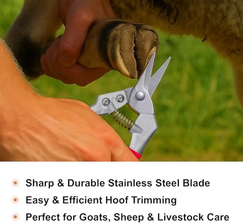 Goat Hoof Trimmers and Farrier Shears – Versatile Hoof, Wire, and Pipe Cutting Tool for Livestock – Silver (Silver-Red 2pack) - Image 5