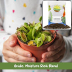 Soil Sunrise Carnivorous Plant Potting Soil Mix (12 Quarts) Custom Blend for Venus Fly Traps, Sundews, and Pitcher Plants - Image 4