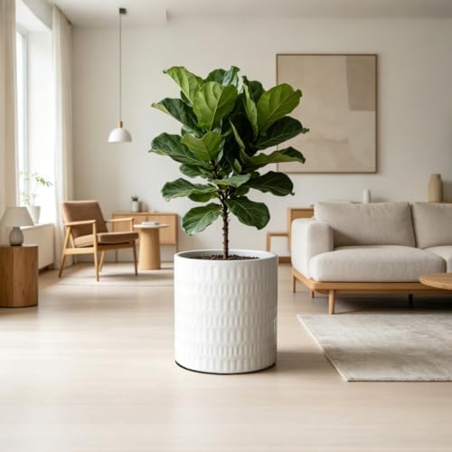 12 Inch Ceramic Plant Pot with Drainage - Image 6