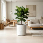 12 Inch Ceramic Plant Pot with Drainage - Image 6