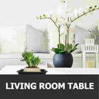 Flower Saucers 6 Pcs Rectangular Flower Pot Drip Tray Plant Tray - Image 6