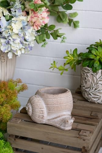 Decorative Snail Planter, 8.3 Inch, Textured Beige by Noeko