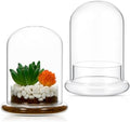 2 Pcs 4.7 x 6.3 Inch Clear Glass Dome Terrarium with Air Hole & Base by Perthlin