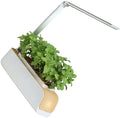 Automated Plant Growing Set with Full Spectrum Lighting and Height Adjustable Lamp for Vegetables Home Gardening Soil and Water Cultivation Planter by Unknown