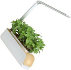 Automated Plant Growing Set with Full Spectrum Lighting and Height Adjustable Lamp for Vegetables Home Gardening Soil and Water Cultivation Planter by Unknown