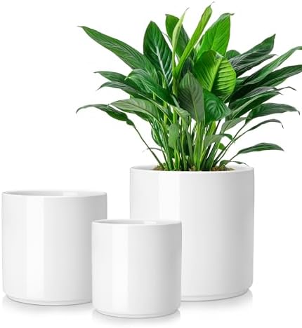vancasso 6"+8"+10" Ceramic Pot for Plants, Large Outdoor Indoor Planter Pots with Drainage Holes, Set of 3, White by vancasso