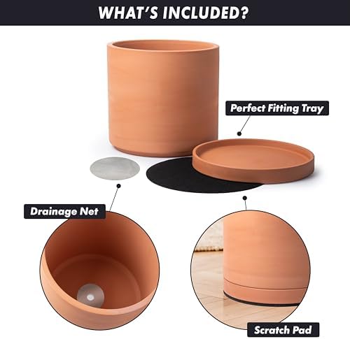 D'vine Dev Terracotta Plant Pot with Saucer, 12 Inch, 40-X-A-6 - Image 4