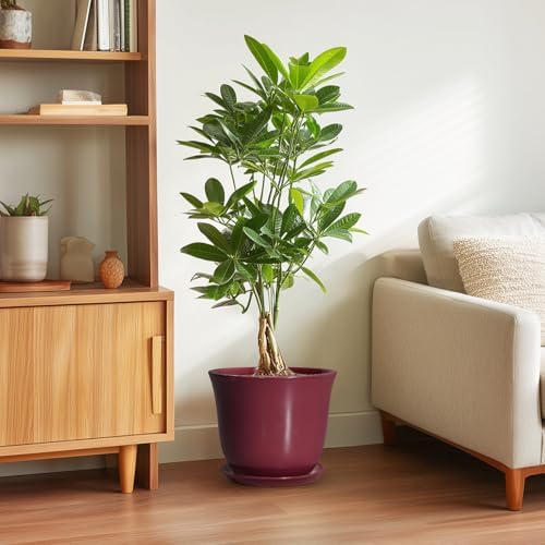 Ceramic Plant Pots, 10 Inch Plant Pot, Red - Image 4