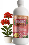 GARDENERA Premium Organic Seaweed & Kelp Superfood for KALANCHOE Plants - 32 oz - Liquid Kelp Fertilizer Concentrate (Makes 180 Gallons) by Gardenera