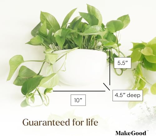 Make Good Virgo Wall Planters (Wide, Set of 6) - Easy to Water and Install - Lightweight - Design Your Own Vertical Garden - Melamine Plastic - Image 4