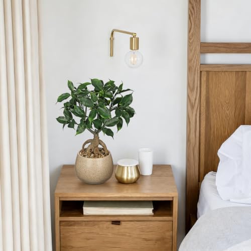 Artificial Bonsai Tree Fake Small Ficus Plant with Ceramic Pot Indoor Plant - Image 5
