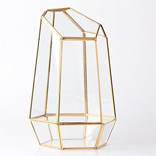 NCYP NO Door Gold Geometric Glass Terrarium for Succulent Air Plants - Image 6