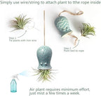 Ceramic Octopus Hanging Air Plant Holder Set of 5 Tillandsia Holder - Image 6