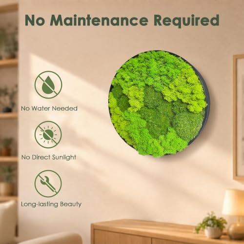 Motivilla 11.8" Round Preserved Moss Wall Art with Modern Aluminum Frame - Image 6