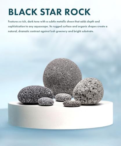 SubstrateSource Natural Aquarium Stones - Porous Charcoal Volcanic Aquascaping Rocks with Small Holes for Betta Fish Tank, Reptile Enclosure, Cichlids, Shrimp, Hermit Crab - Black Star Lava, 10 LB - Image 2