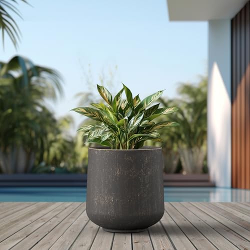 Kante Large Round Curved Vintage BRN Concrete Planter 16.5" Dia, Outdoor - Image 3